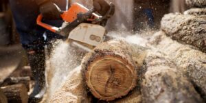 伐木工人切開樹的圖像表示組織切片尖端