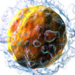測量T細胞反應的六種方法