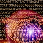 Genedig：生物科學家易於使用的基因組瀏覽器