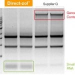 從試劑盒RNA的心跳:Zymo研究的Direct-zol <一口> TM < /一口> RNA MiniPrep工具包使RNA隔離微風