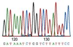 桑格測序:基因組是如何獲得的