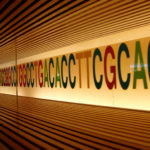 DNA序列MLPA