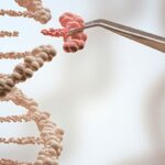 利用CRISPR/Cas9高速AFM檢測DNA單分子序列