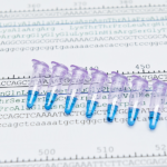 描述基因表達分析的試管圖像和測序數據