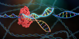 用GRNA靶向DNA的CRISPR-CAS複合物的圖像