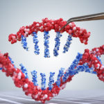 使用工具修改DNA來表示修飾的CRISPR核酸酶格式