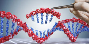 使用工具修改DNA來表示修飾的CRISPR核酸酶格式