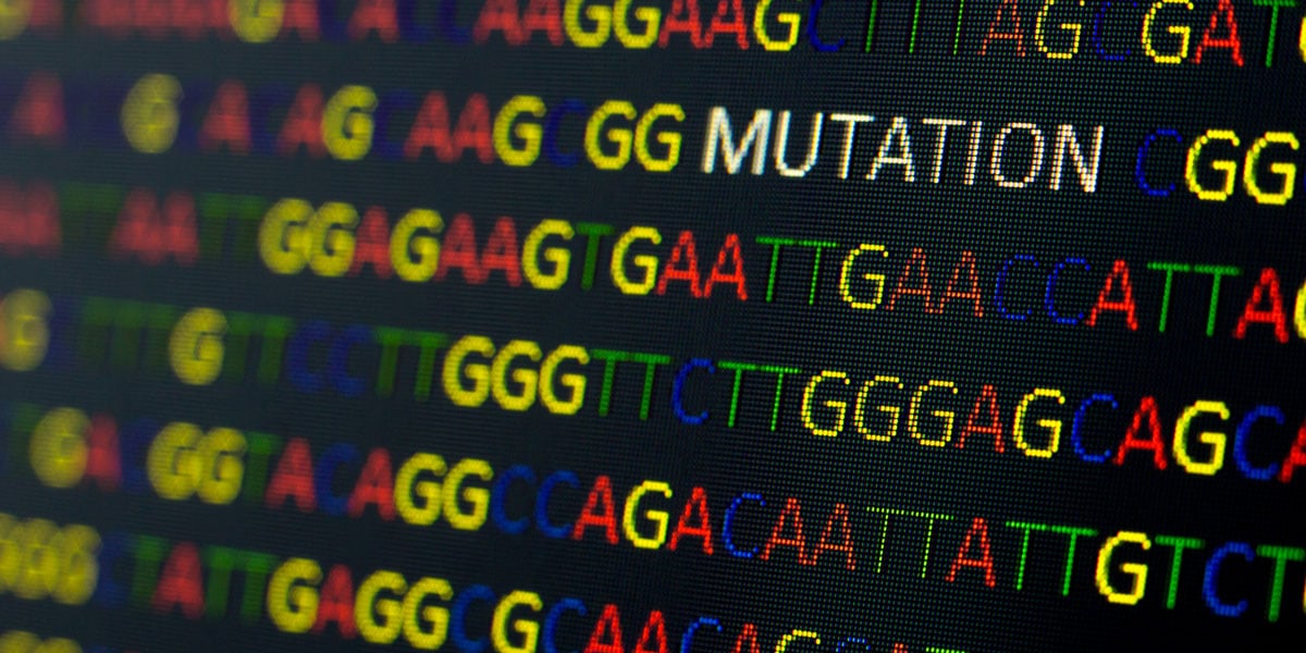 測序數據的圖像以描繪驗證CRISPR