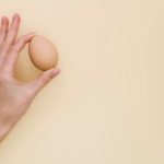 手拿一個棕色的雞蛋描繪用雞胚胎研究血管生成