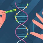 手和DNA鏈的動畫片代表DNA中的分子計算