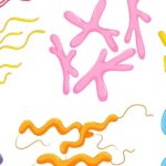 細菌的卡通代表選擇細菌菌株進行研究