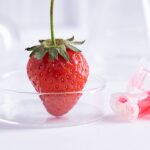 草莓和試管的圖像，代表DNA提取試劑盒在實驗室中的工作原理