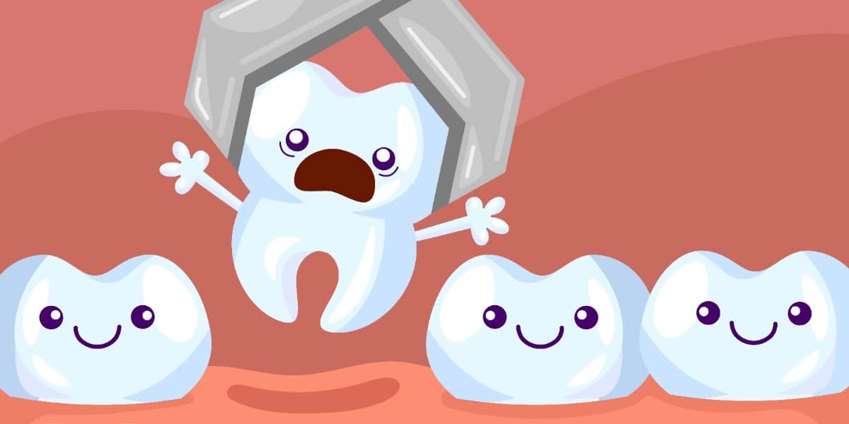 將牙齒的圖像拉到代表DNA苯酚提取的單詞上的戲劇