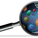放大鏡中的小生物分子顯示了電子顯微鏡可以觀察到的事物類型