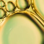 石油液滴描繪在油浸入顯微鏡中使用油