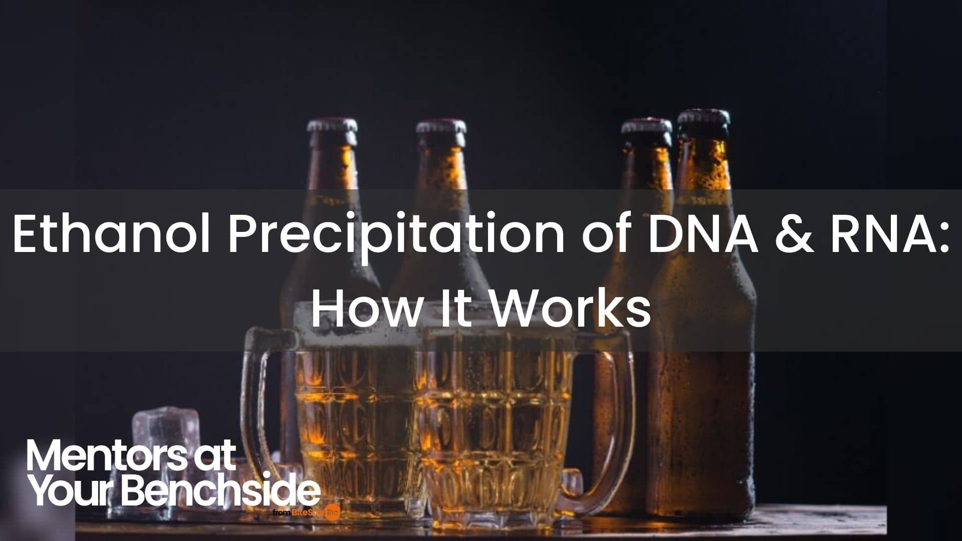 DNA和RNA的乙醇沉澱及其工作原理