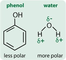 圖1。苯酚和水的極性。