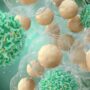 T細胞和癌細胞的圖像突出了如何使用CRISPR來增強T細胞抗癌能力。
