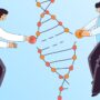 科學家的圖像編輯DNA如CRISPR技術