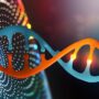 DNA的圖像描繪了廣泛的可用功能基因組學篩選技術。